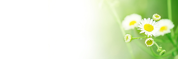 summer1-600x200px.jpg