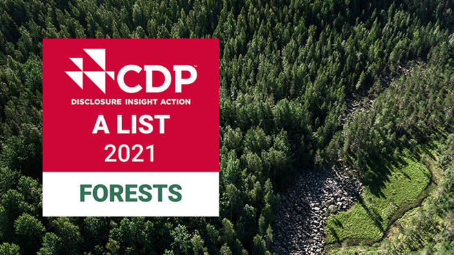 cdp-a-list-2021.jpg