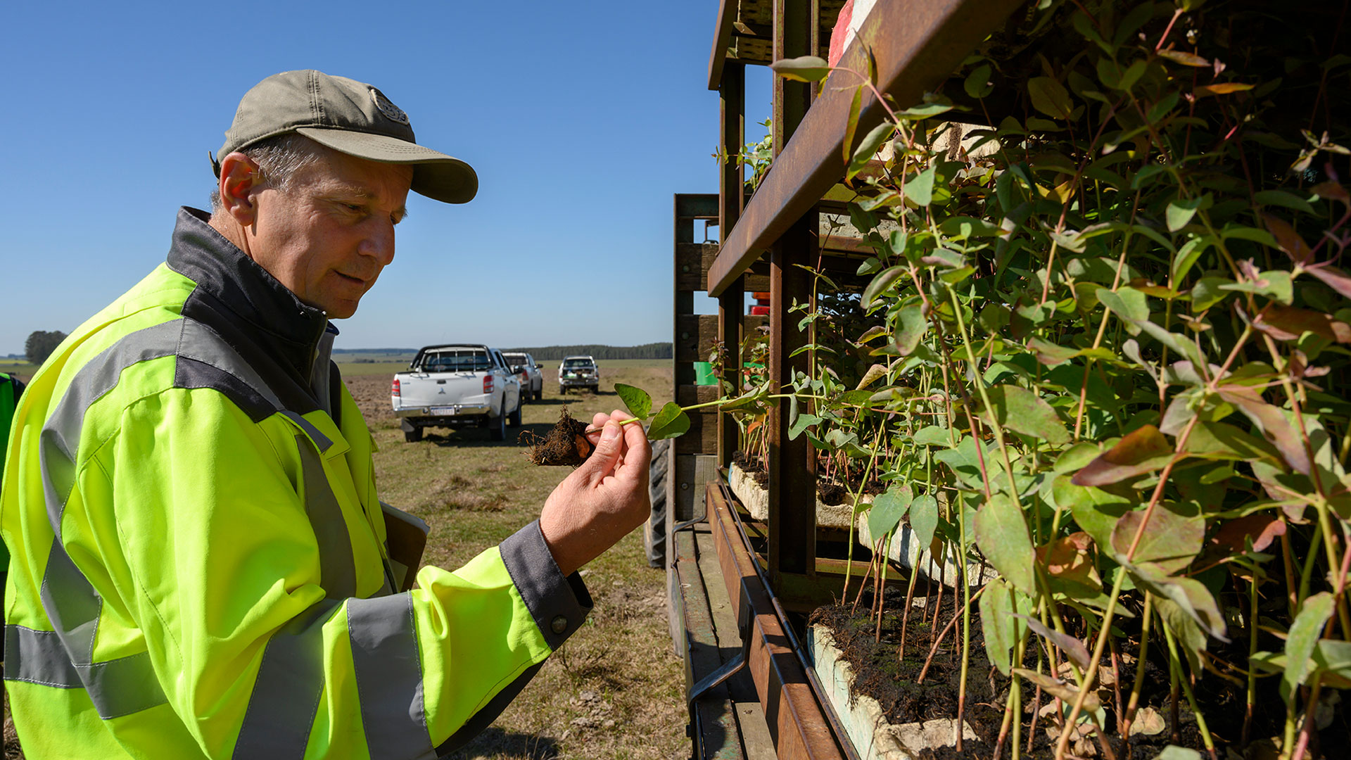 forestry-supervisor-2.jpg