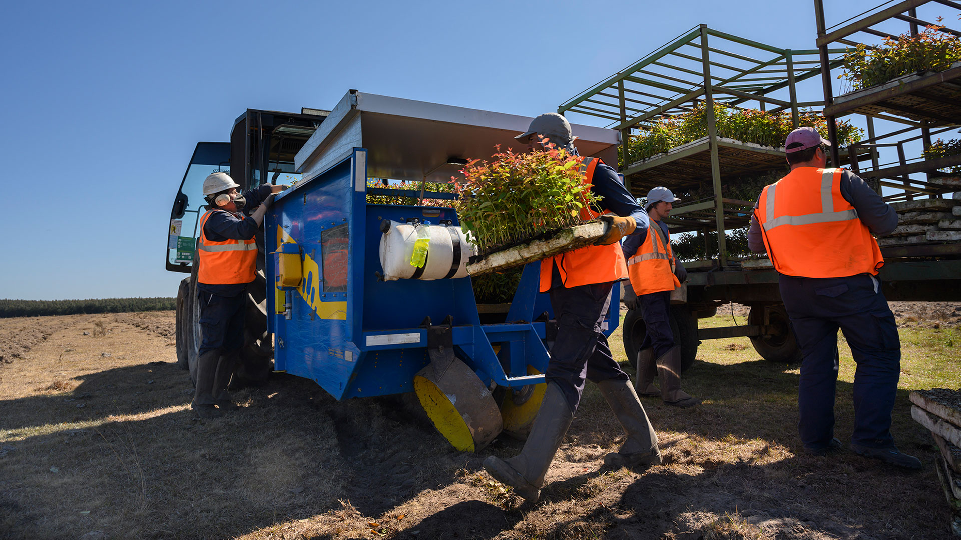 forestry-supervisor-3.jpg