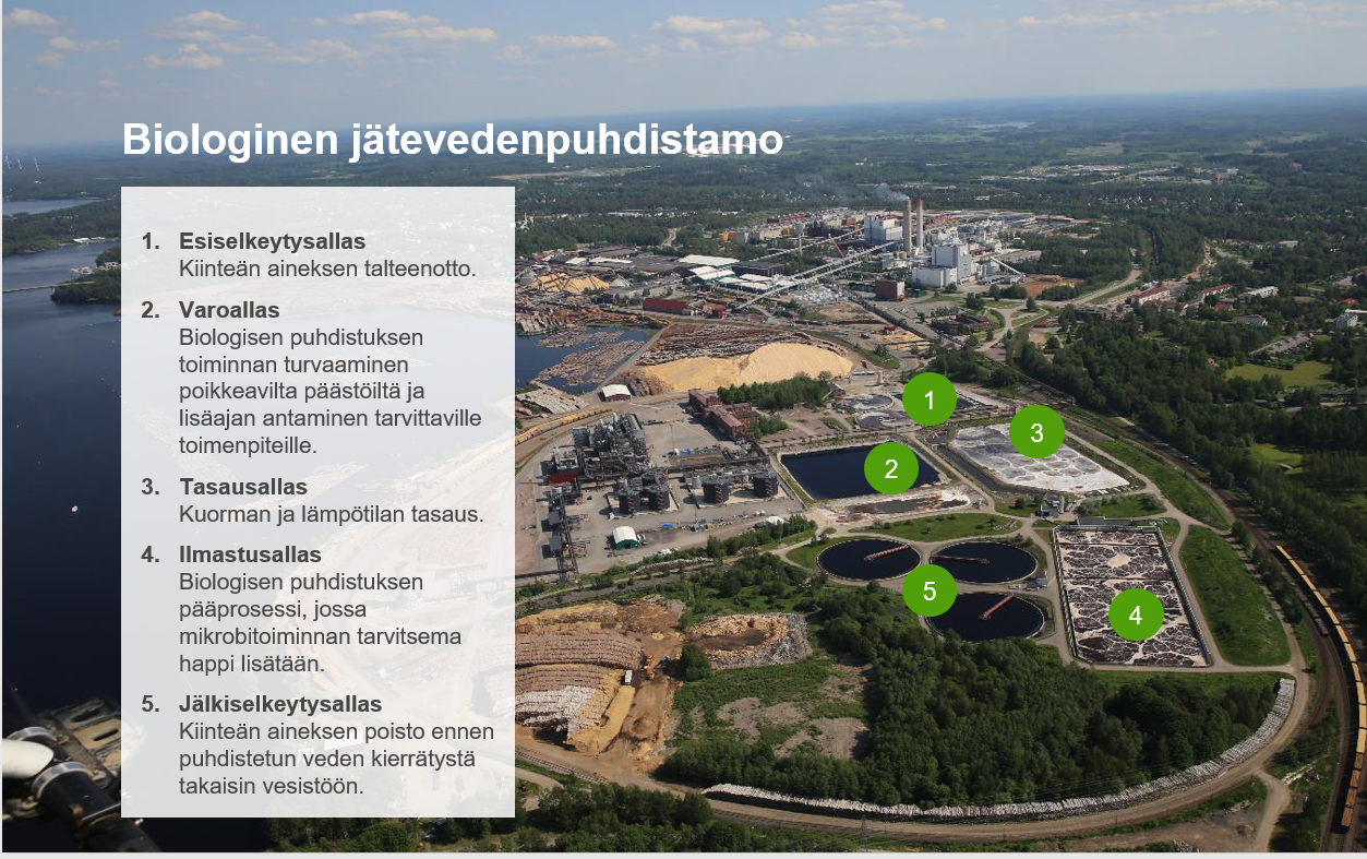 jätevedenpuhdistamon toiminta_image_UPM Kaukas.png