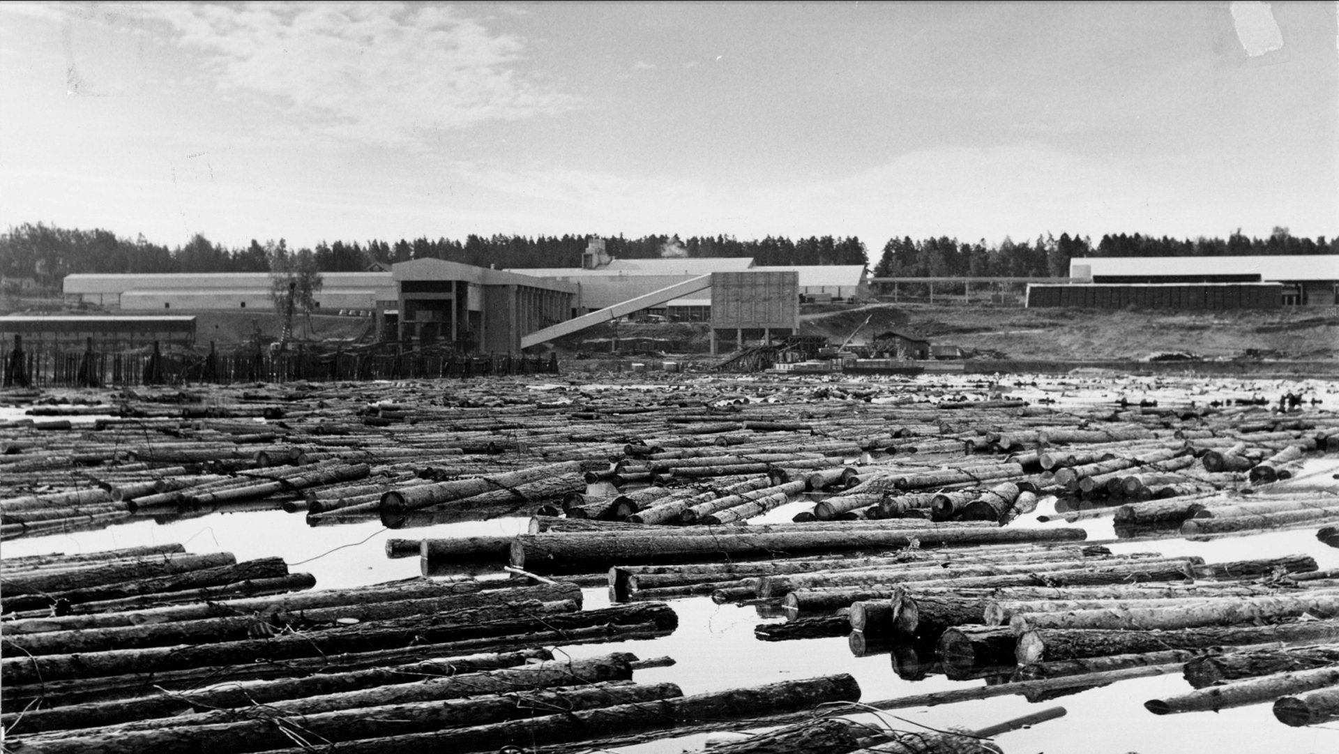 upm-kaukas-kaukas-sawmill-wood--saha-tukkivarasto-year-1960-1920x1080.jpg