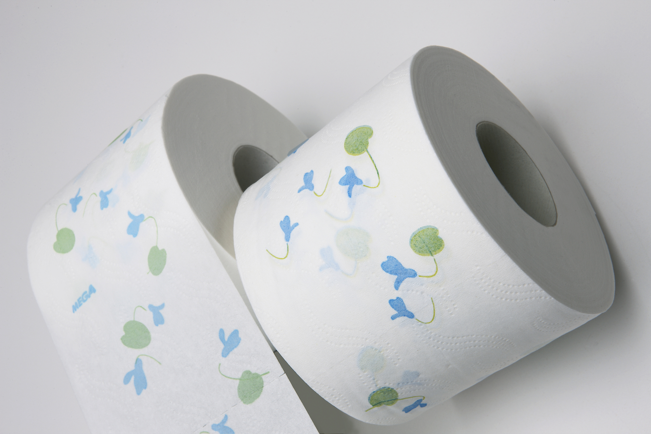 Paper_Tissue rolls_white_blue_green_2012.jpg