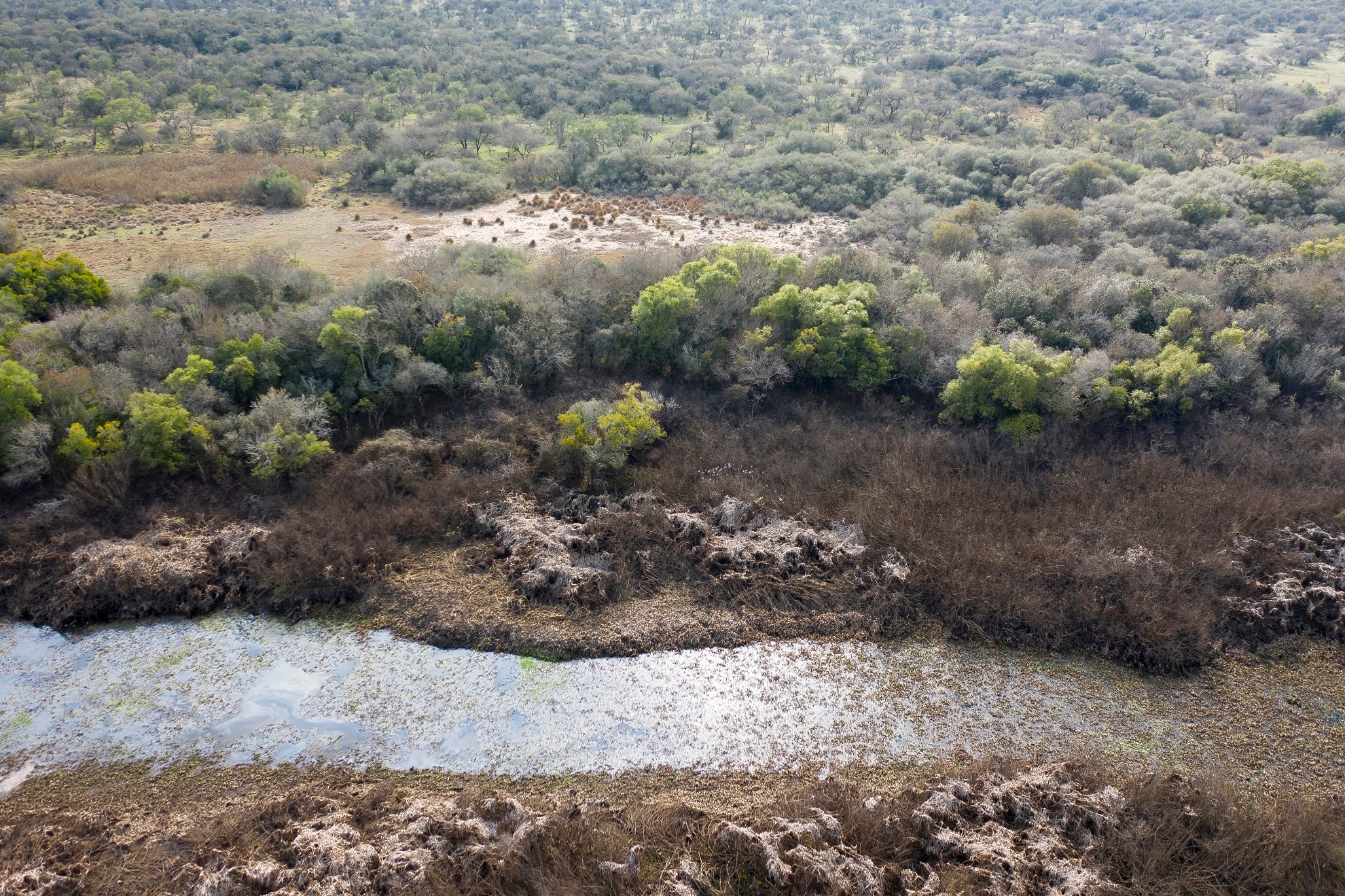 upmforestaloriental-aerial-mafalda_0490.jpg