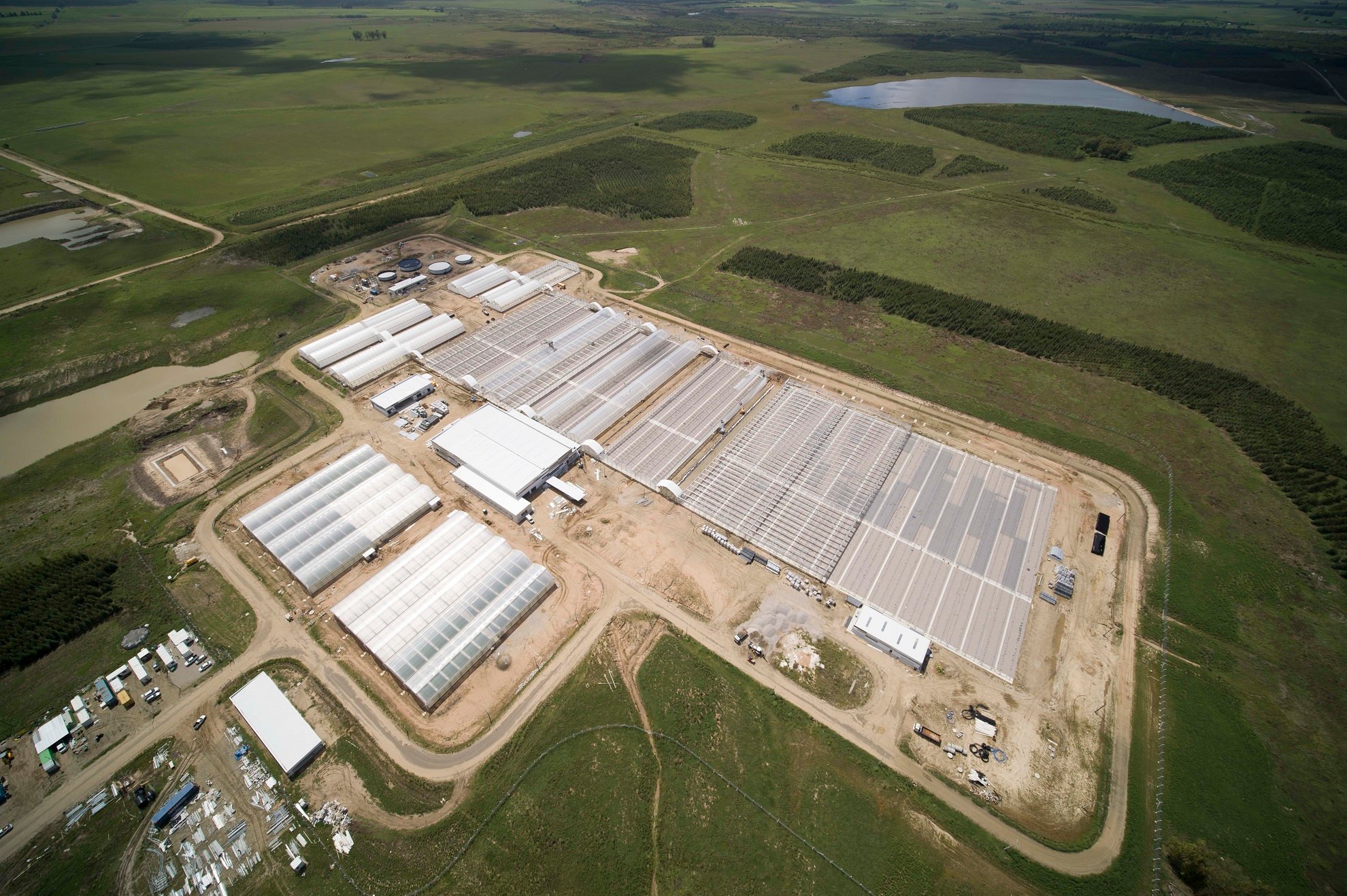 UPM Paso de los Toros_new nursery_ february2022_DJI_00612022.jpg