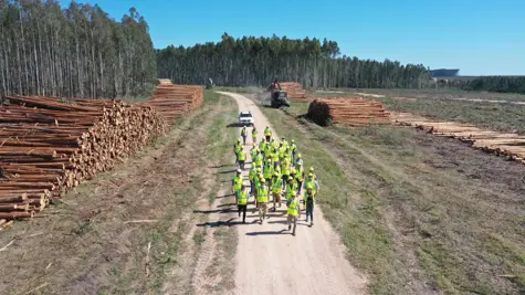 UPM trains local young talent to run new pulp mill in Uruguay