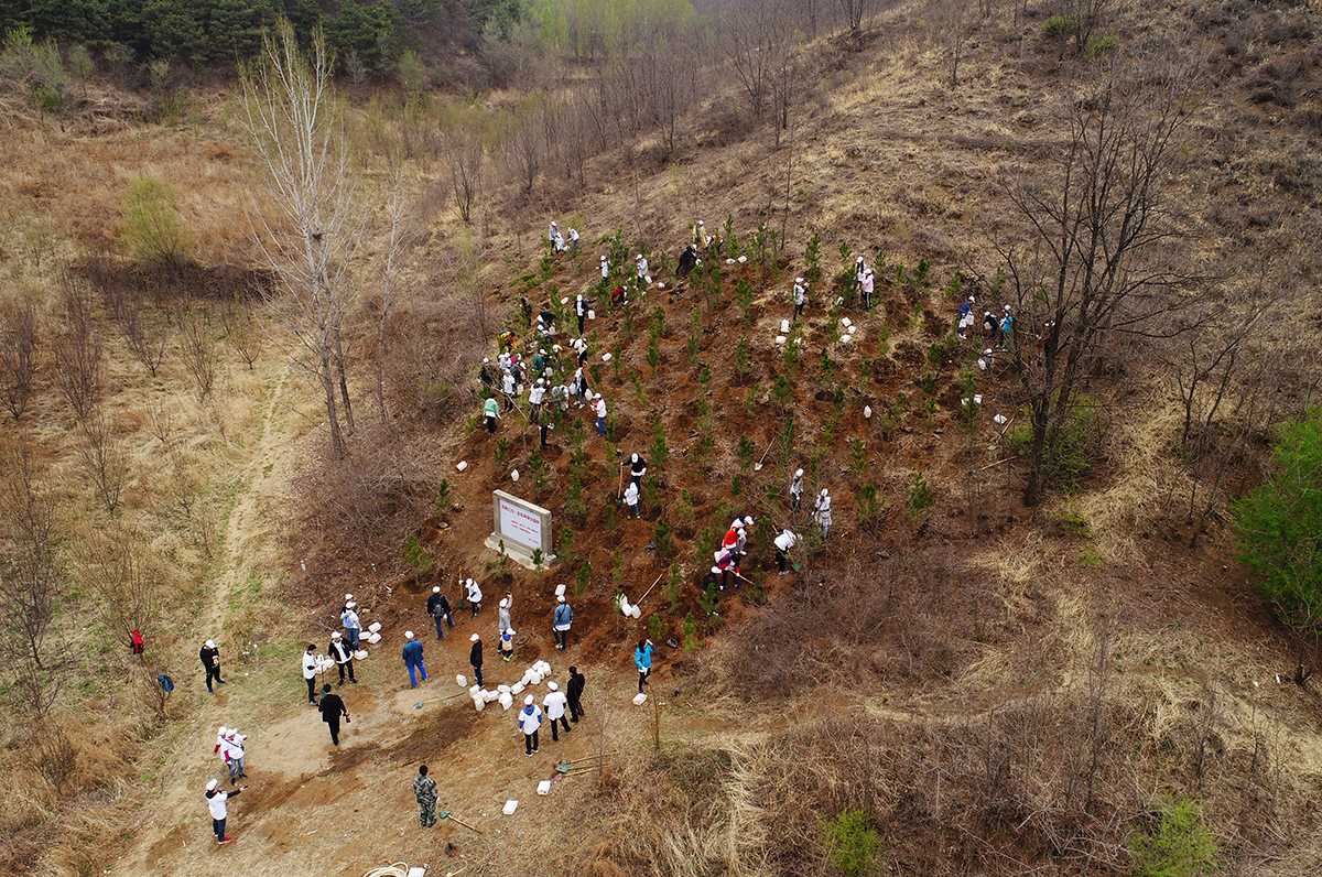 UPM_Greening China_3.jpg