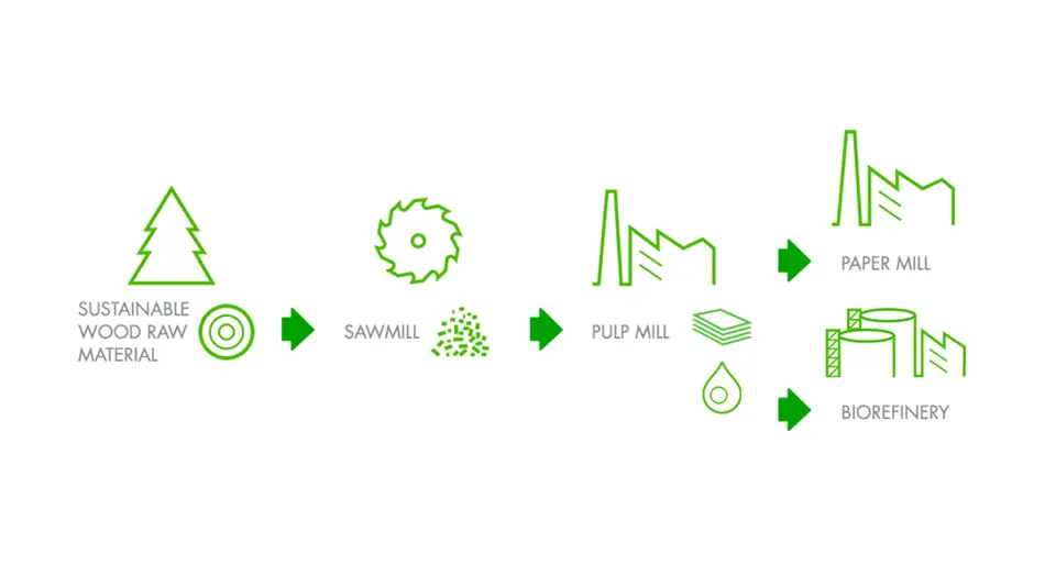Pulp as part of our circular economy Pulp as part of our circular economy