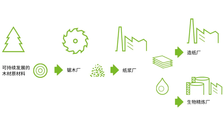 纸浆是循环经济中不可或缺的一部分